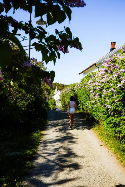 May 2024 - Hvitsen, Norway