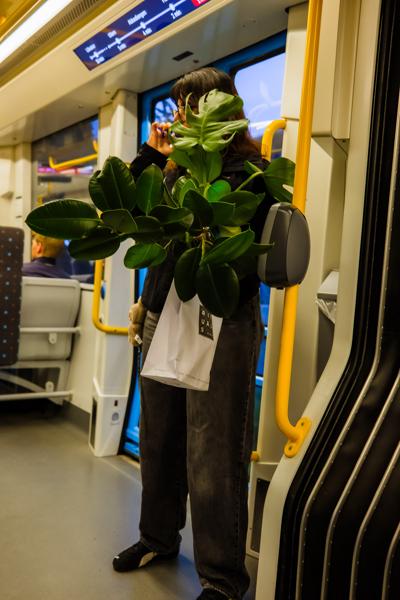 June 2025 - Oslo, Norway