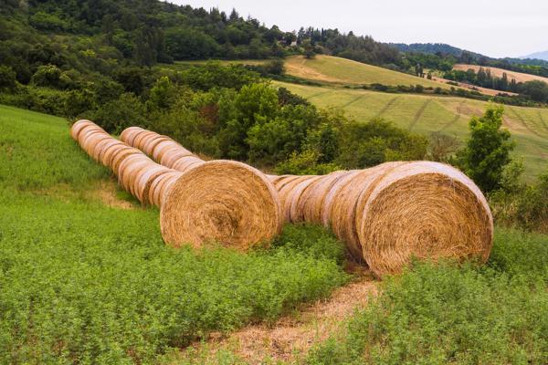 June 2022 - Urbino, Italy